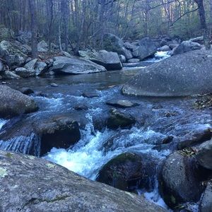 Meet your Posher, Laynie